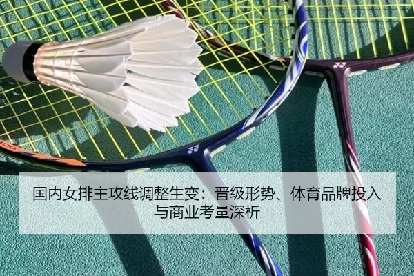 guo-nei-nv-pai-zhu-gong-xian-tiao-zheng-sheng-bian-jin-ji-xing-shi-ti-yu-pin-pai-tou-ru-yu-shang-ye-kao-liang-shen-xi-2-797.jpg